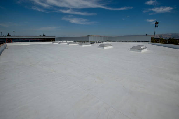 Best Solar Panel Roofing Installation  in Edgewater, CO