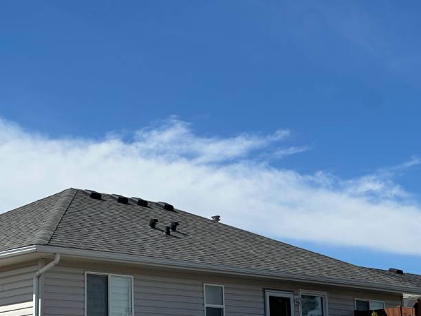 Best Tile Roofing Installation  in Edgewater, CO